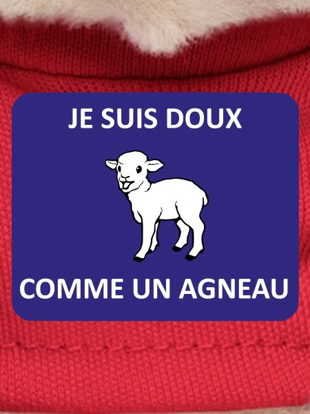 Gentle as a lamb