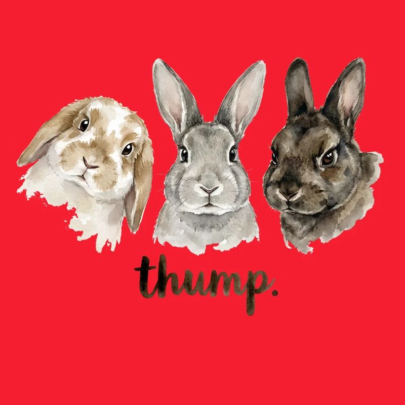 Fun rabbit knocking for rabbit lovers