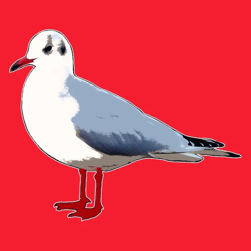gull