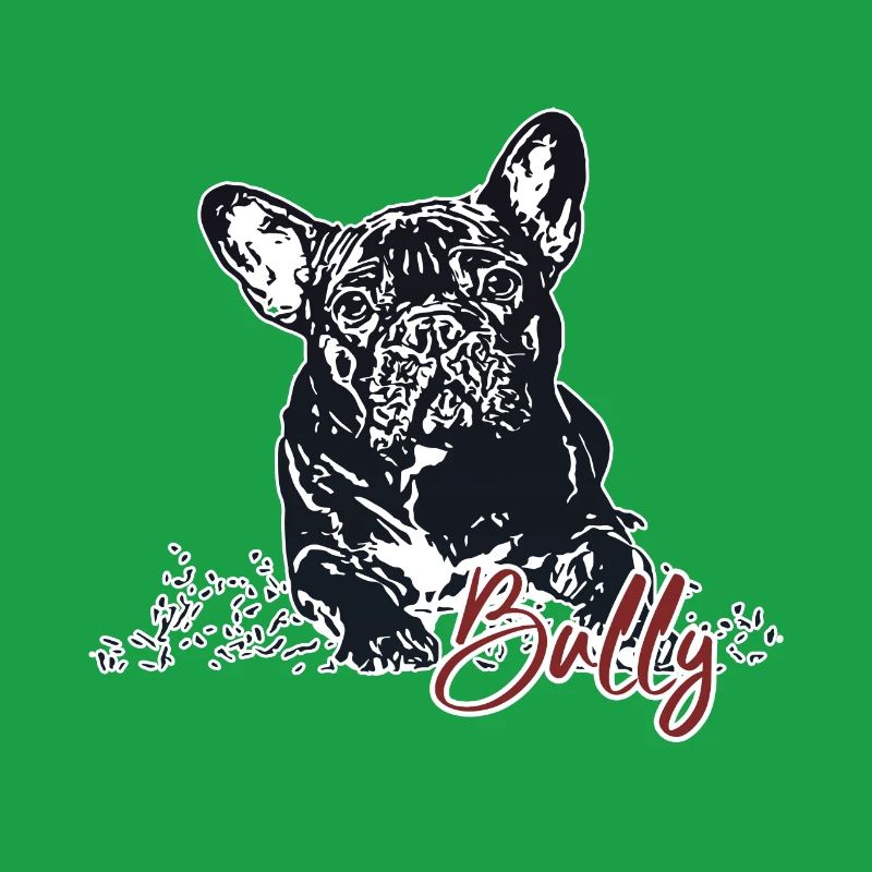 Bully - Bouledogue français mignon