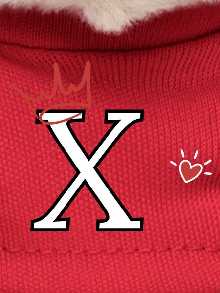 Letter x Heart Crown