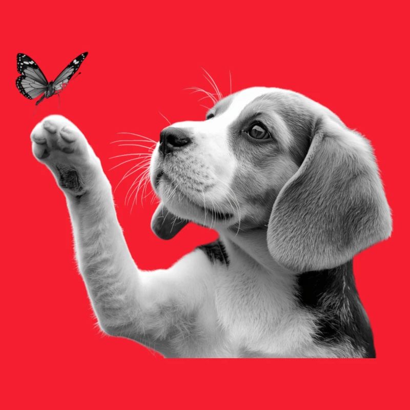 Chiot beagle et papillon