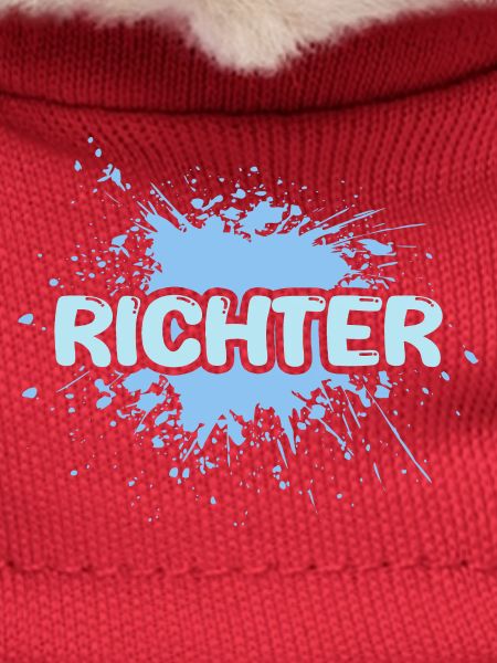 Aufgabe Richter