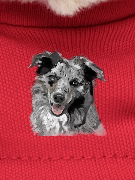 Australian Shepherd