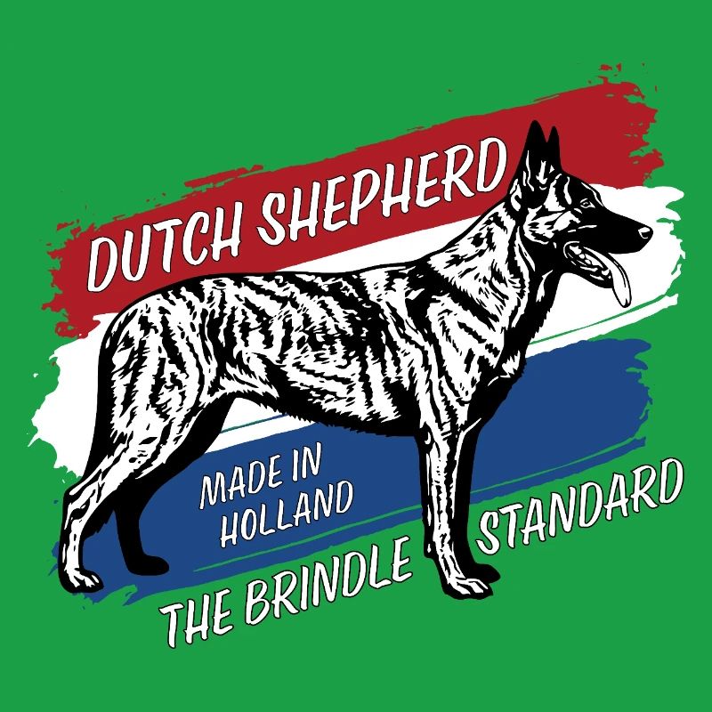 Dutch Shepherd - Dutchie 
