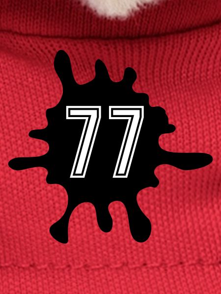 Nombre de Blobs 77