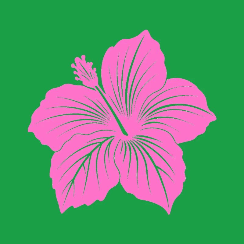 Fleur d’hibiscus