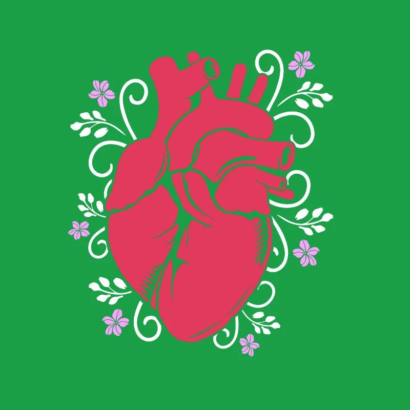 Cardiogramme, cardiographie, échographie, échographie