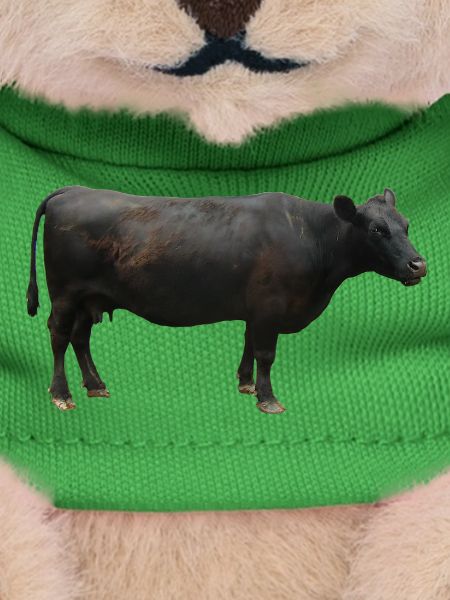 Rind schwarz