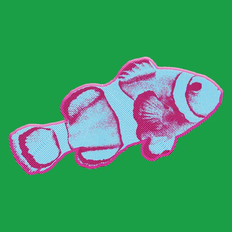 Conception de poisson KapaKala