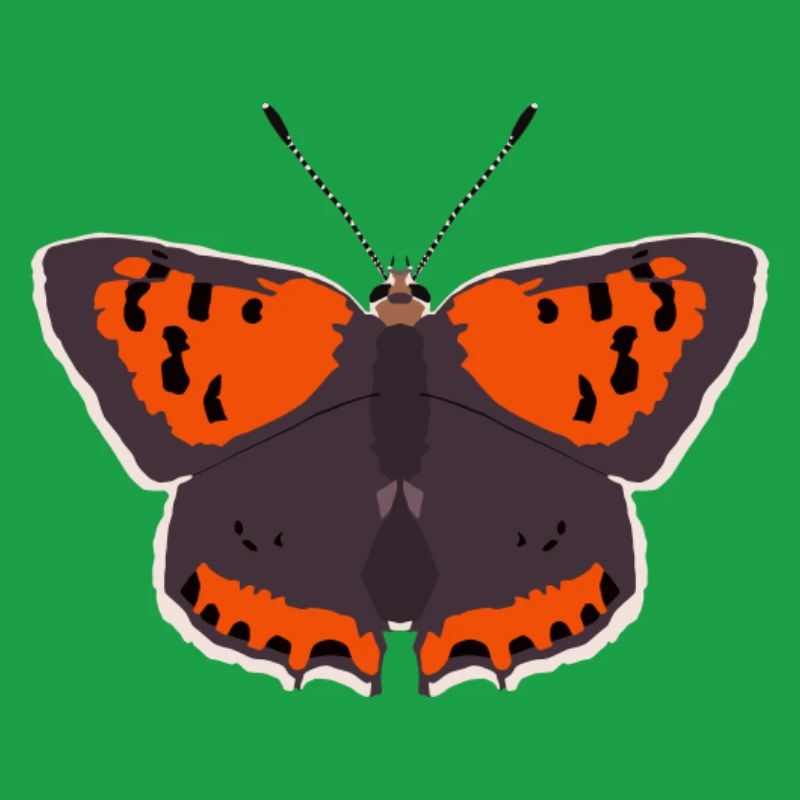 Papillons : Le Petit Papillon de Feu