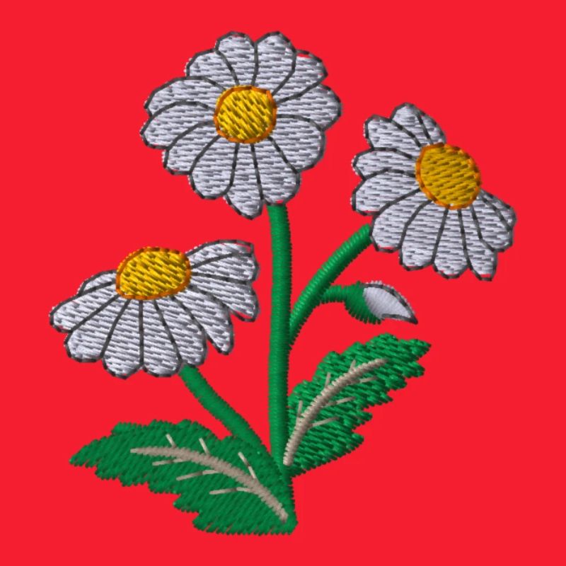 Gänseblümchen