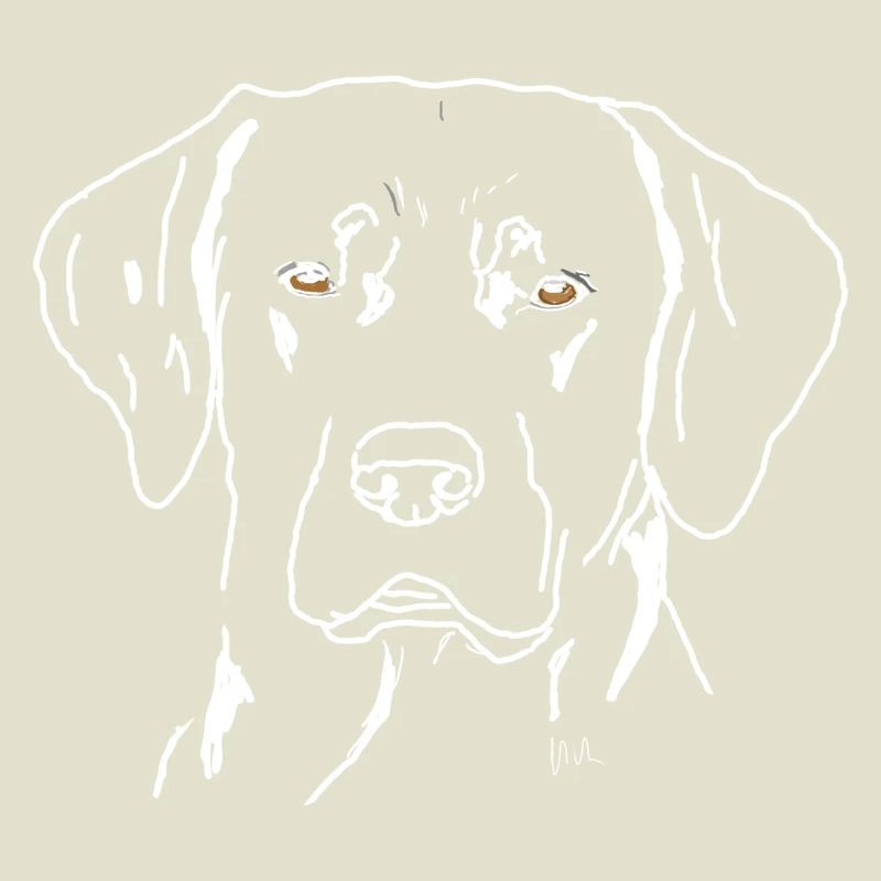 Labrador