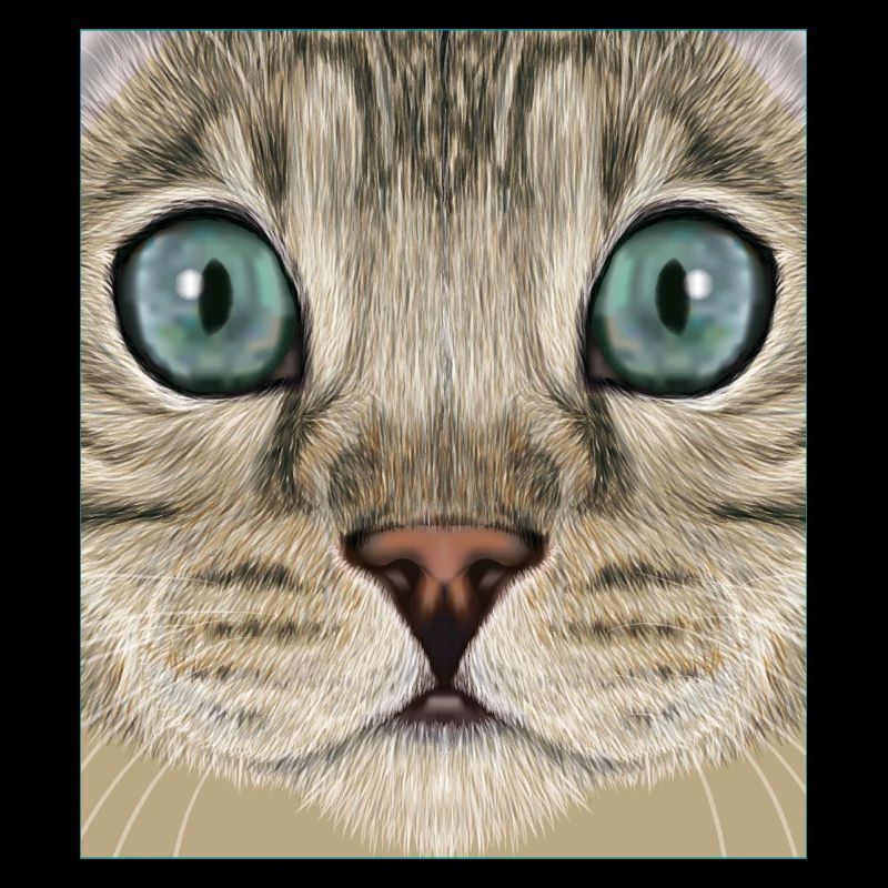 leopard cat