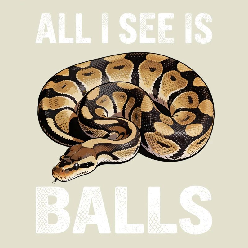 Python roi Serpents Amateurs de terrarium Python