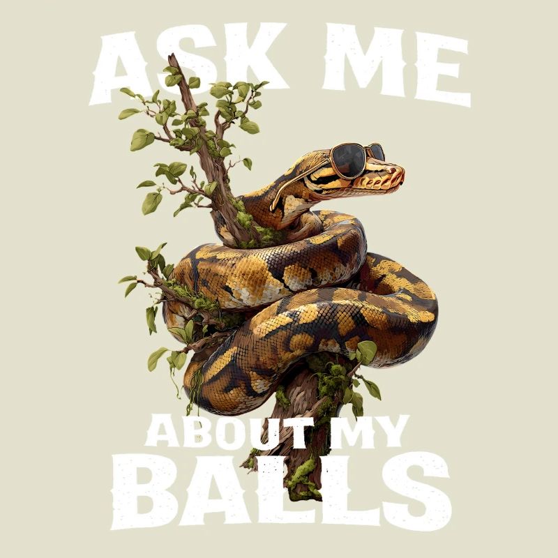 Königspython Schlangen Liebhaber Terrarium Python