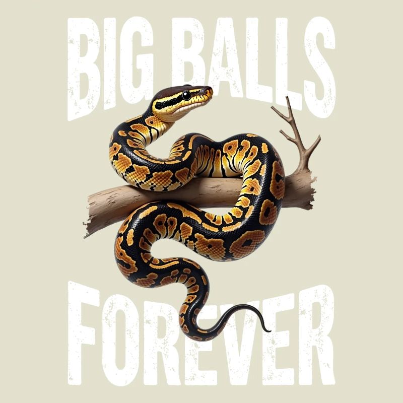 Python roi Serpents Amateurs de terrarium Python