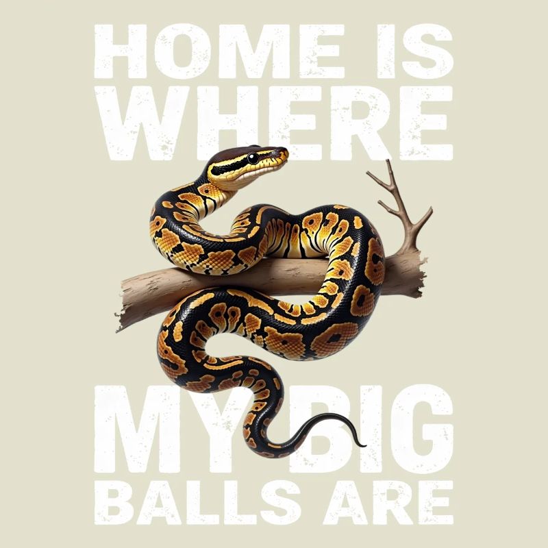 Python roi Serpents Amateurs de terrarium Python