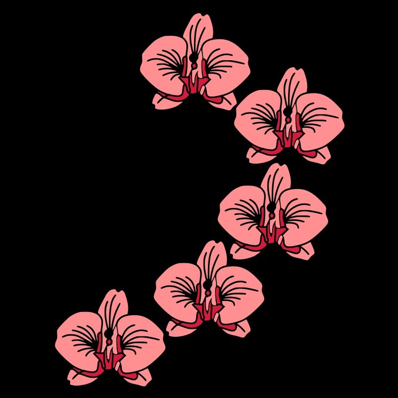 orchidee_2