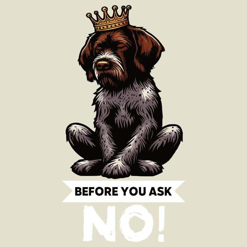 Before You Ask Deutsch Drahthaar Drahthaarhalter