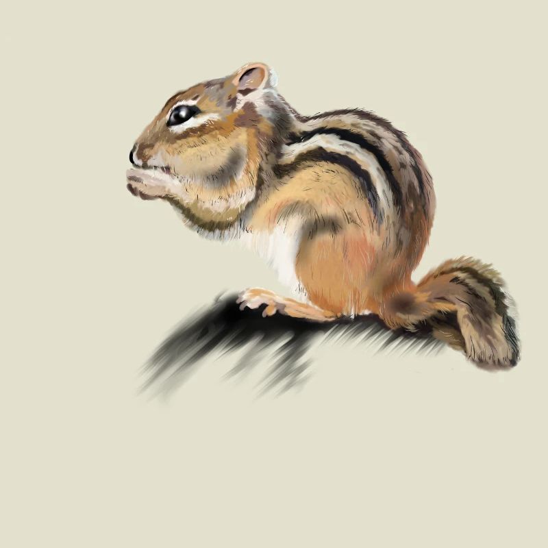 Backenhörnchen