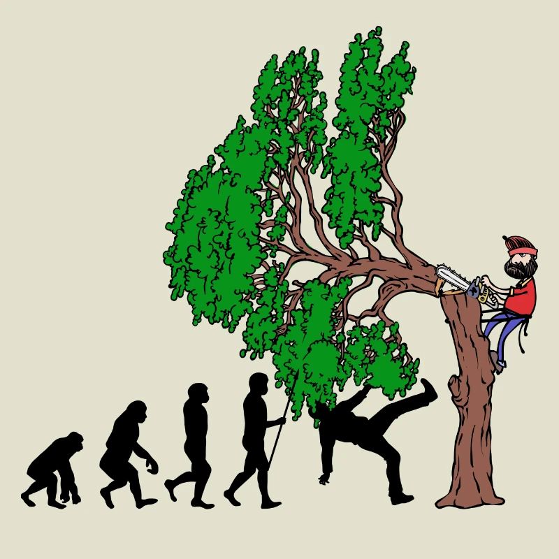 Tree Evolution Bois Bûcheron Forêt de bûcherons