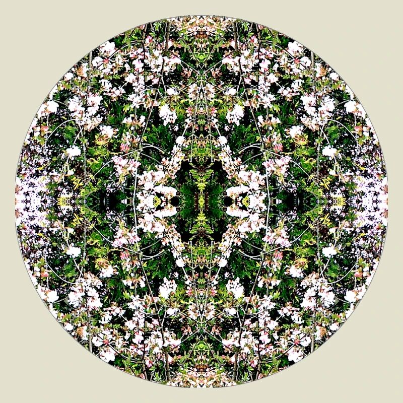 Source du Mandala de la Nature à Nuremberg