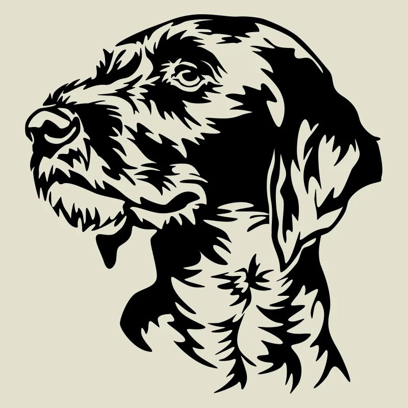 German Wirehaired Pointer head