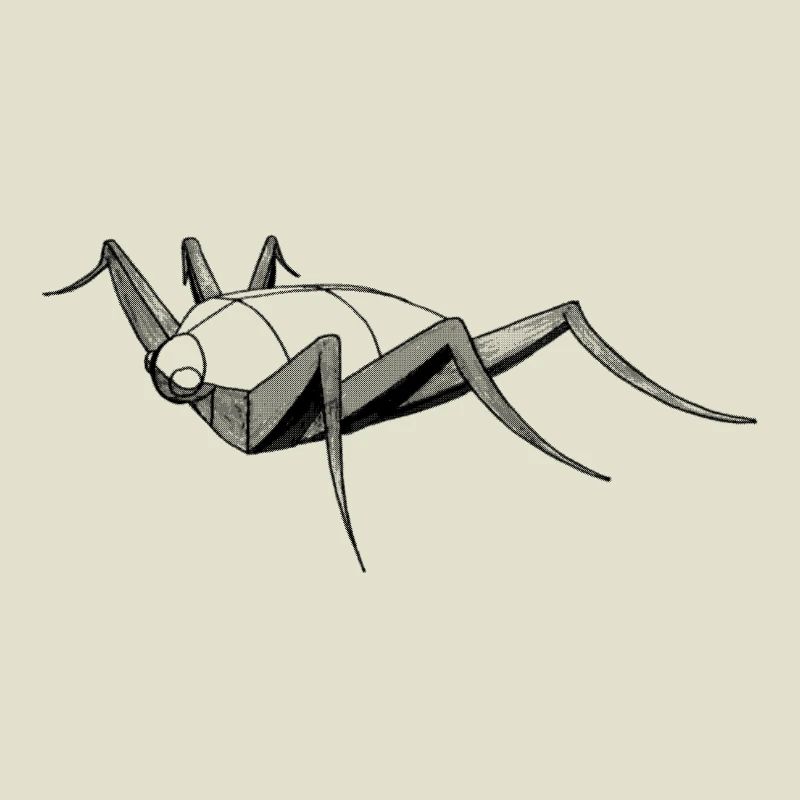 Insect bug bug drawing sketch construction