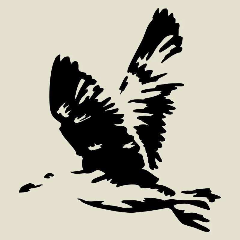 seagull