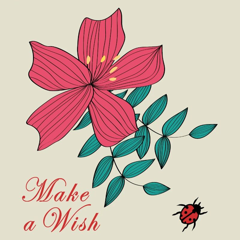 Make a Wish