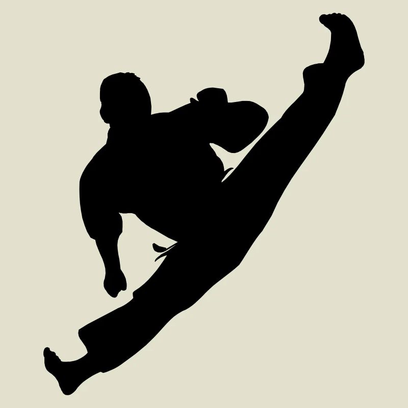 Jumpkick Geri Kick Karate oder Teakwondo