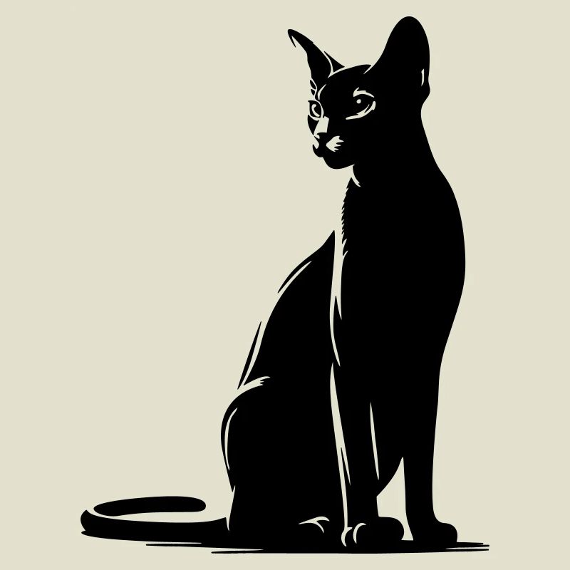 Abessiner Katze