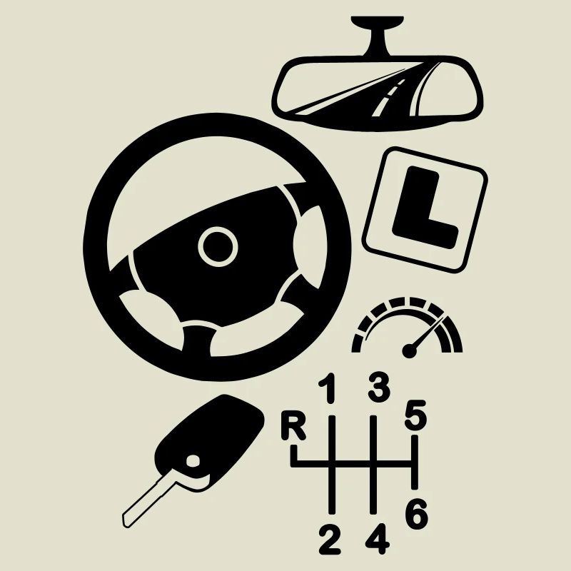 logo Car driving instructor