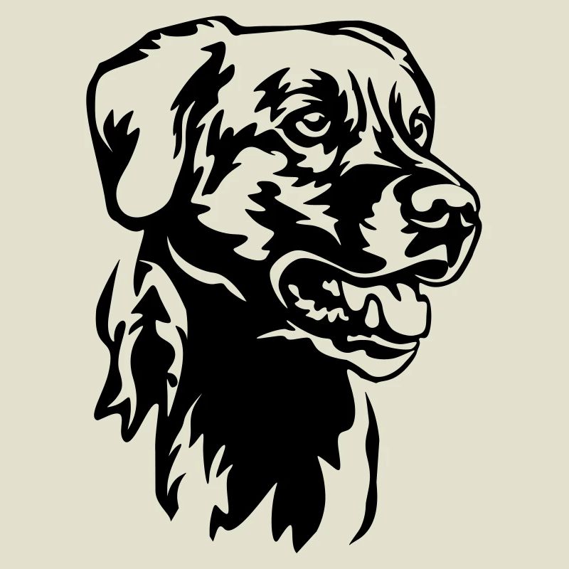 Labrador Kopf