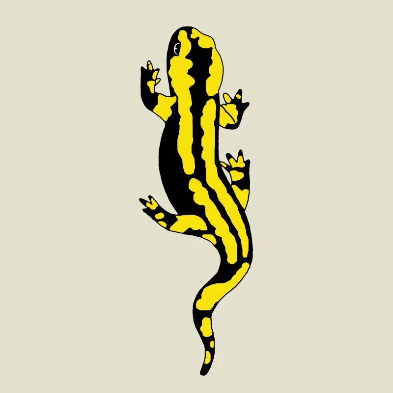 Salamandre