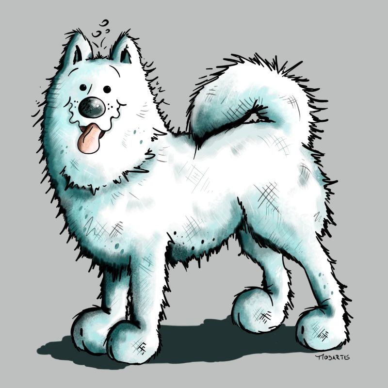 Sammy Samoyed - Samoyède