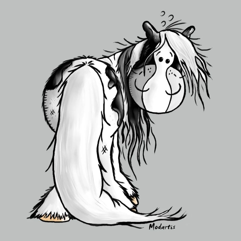 Gypsy Cob - Irish Cob – Pinto – Cheval