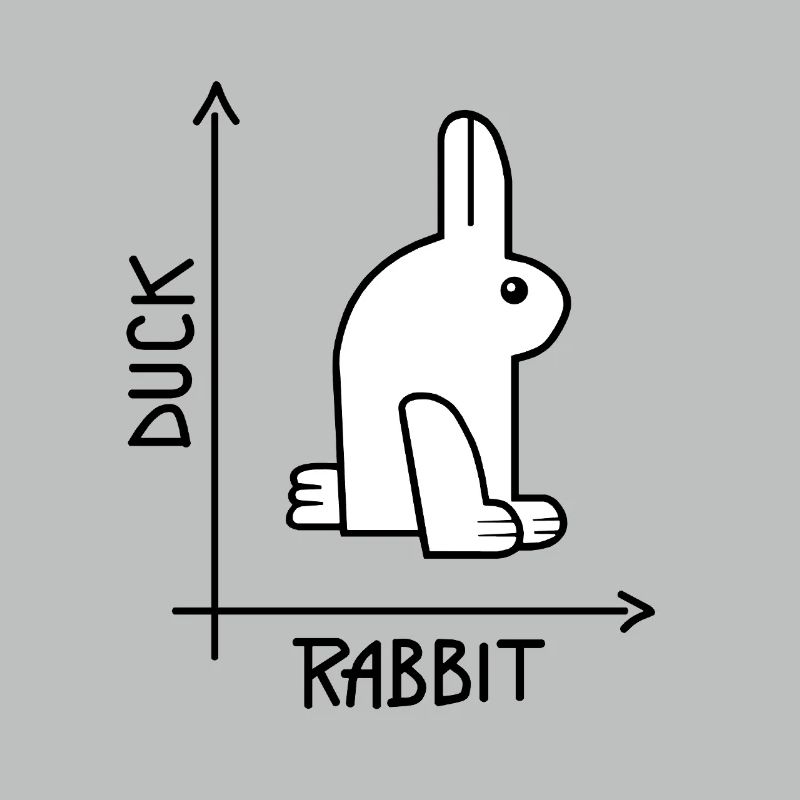 Duck or rabbit Optical Illusion
