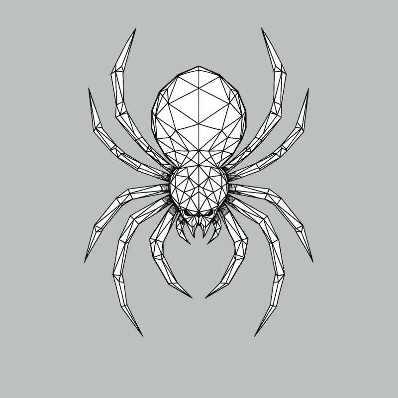 Geometric Spider Drawing