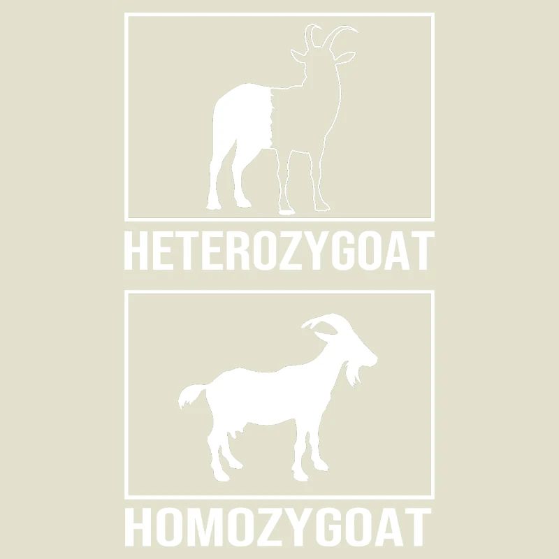 Molecule Structural Formula