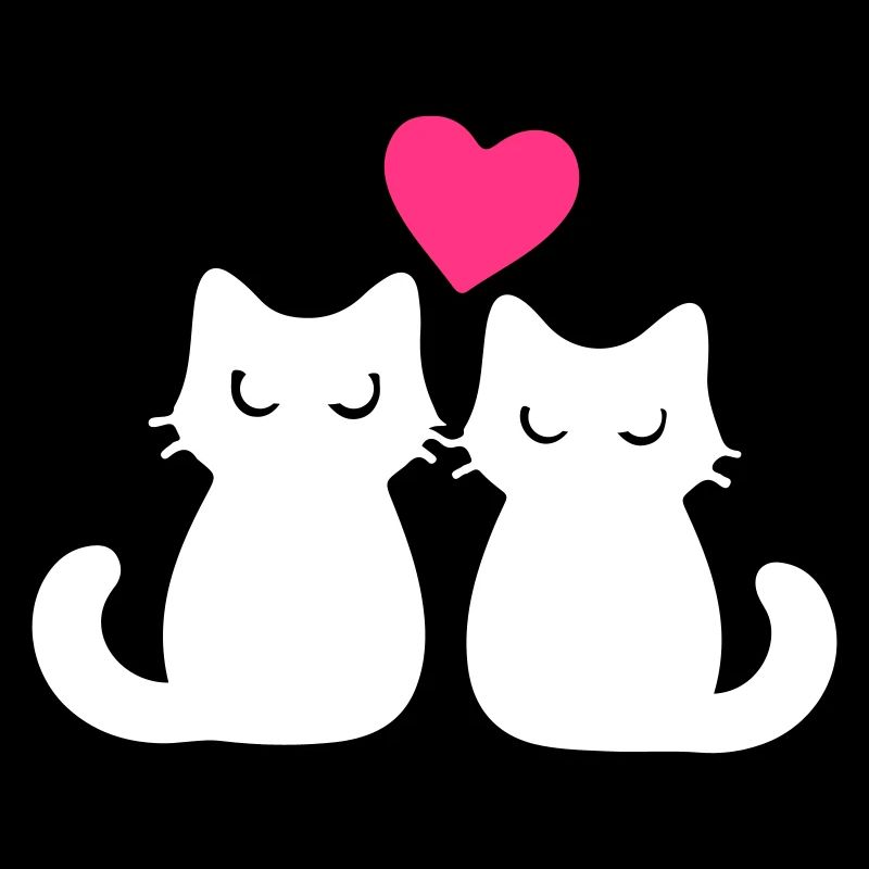 Couple de chats amoureux