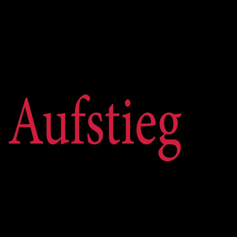 Aufsteiger 2026 Aufstieg