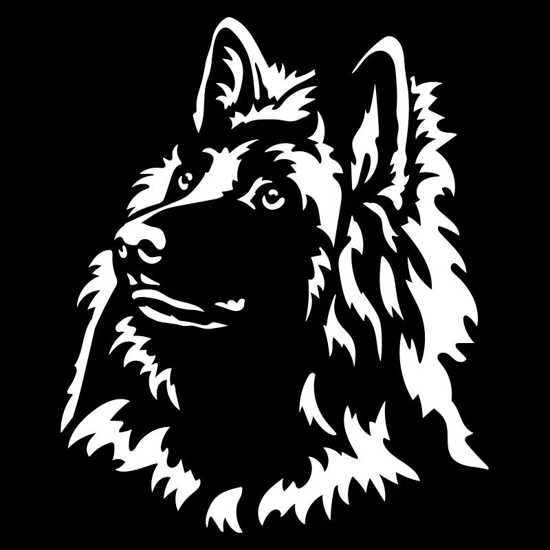Tervueren Head « Black Edition »
