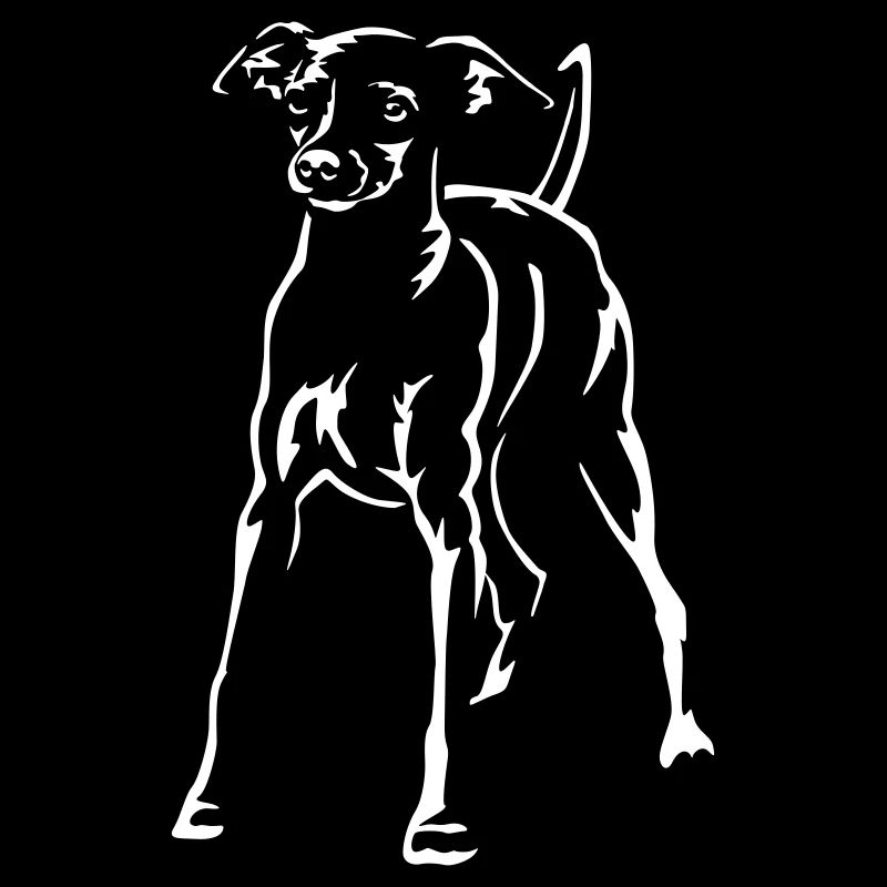 Dwarf Pinscher "Black Edition"