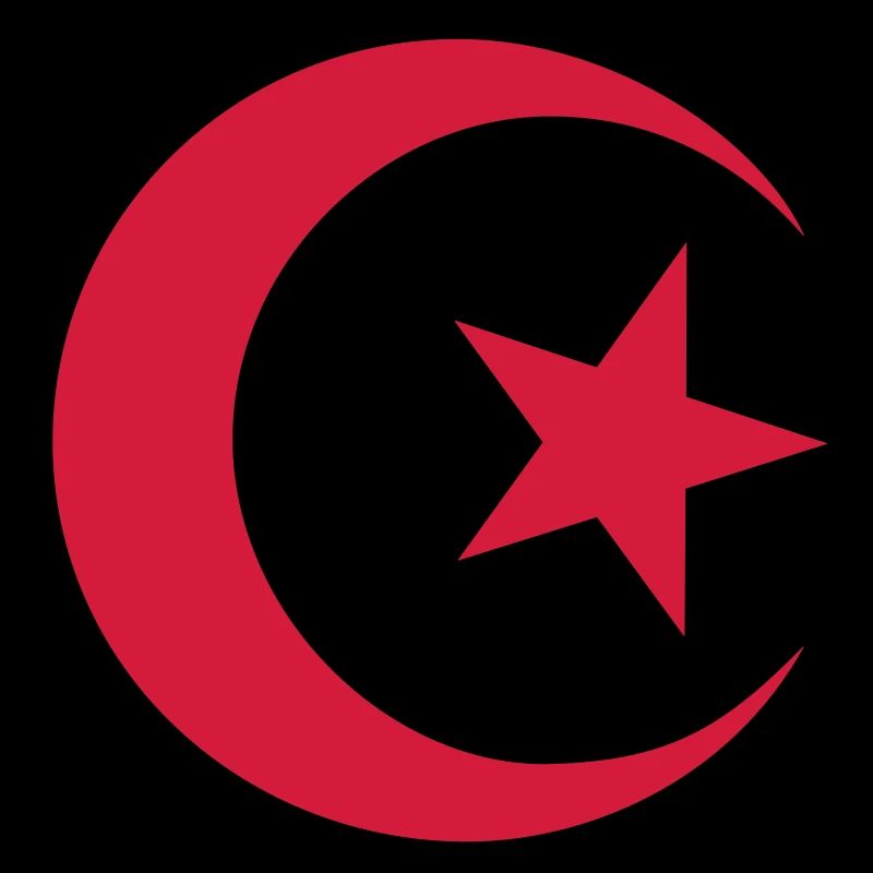 Algerische flagge