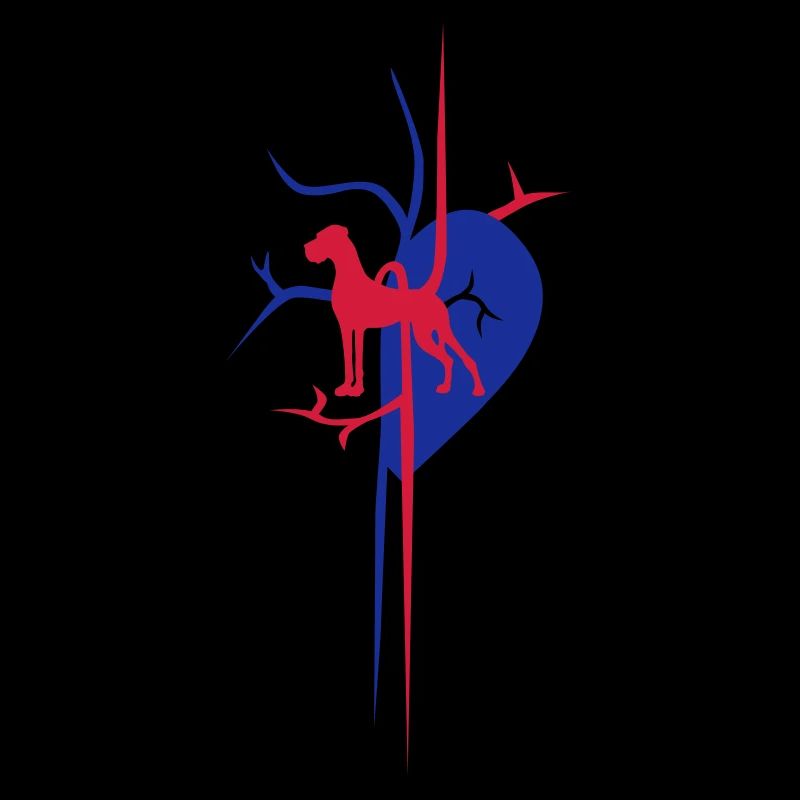 Great Dane au coeur