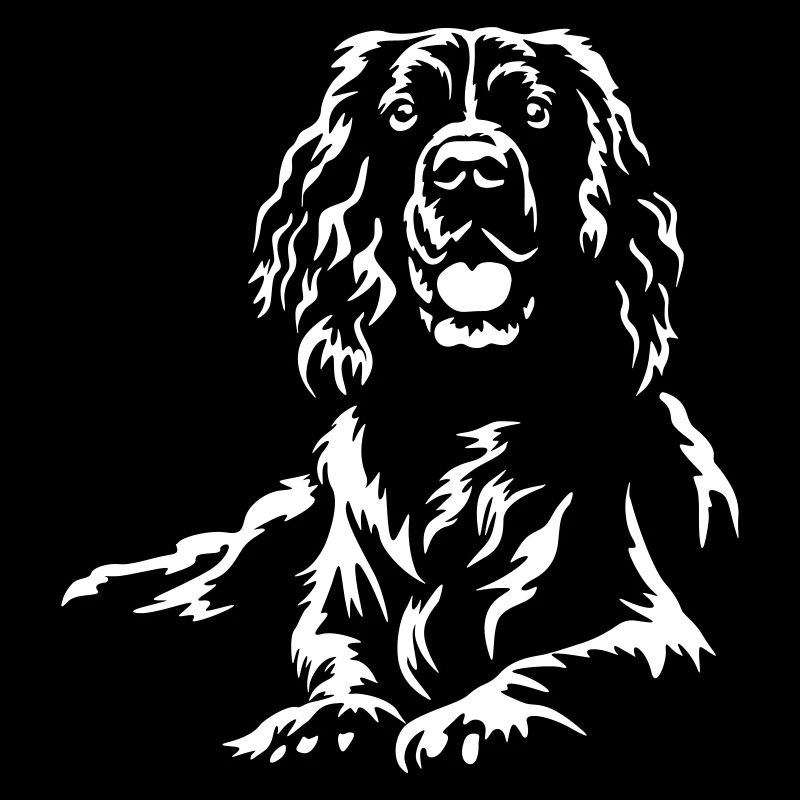 English Springer Spaniel "Black Edition"