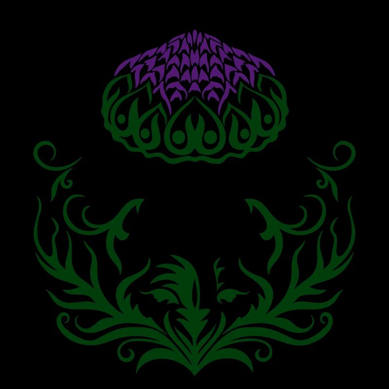 Chardon pourpre Chardon