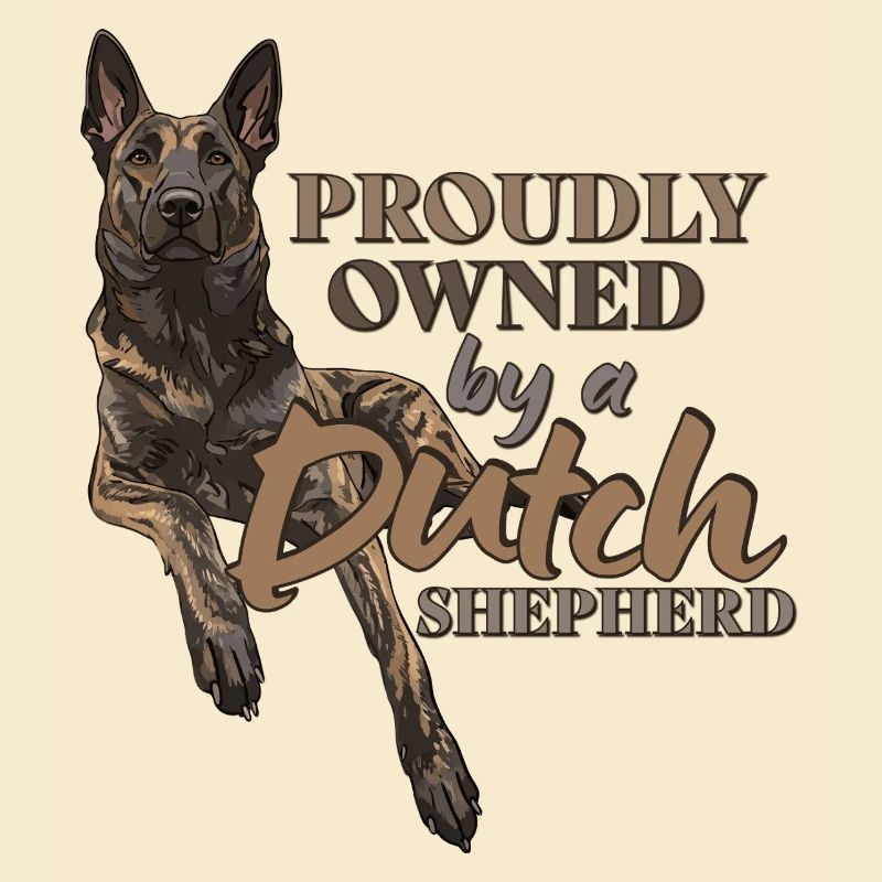 Dutch Shepherd – Dutchie